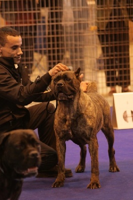 Marab Abdel  - Bientot un titre de champion en plus pour 2009 en cours